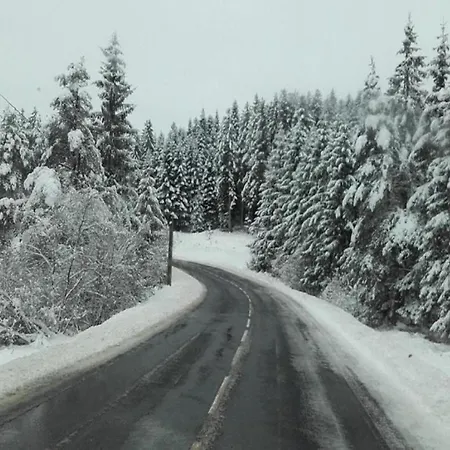 In Near Chateau Rocher Teilhet (Puy-de-Dome)