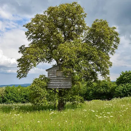 度假居 In Near Chateau Rocher *