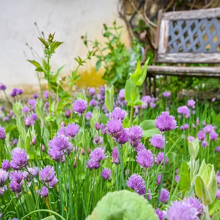 In Near Chateau Rocher 度假居 Teilhet (Puy-de-Dome)