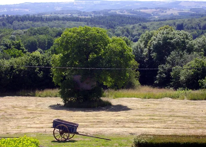 In Near Chateau Rocher 別荘 *