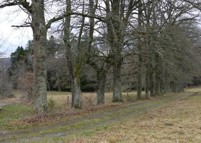 In Near Chateau Rocher *