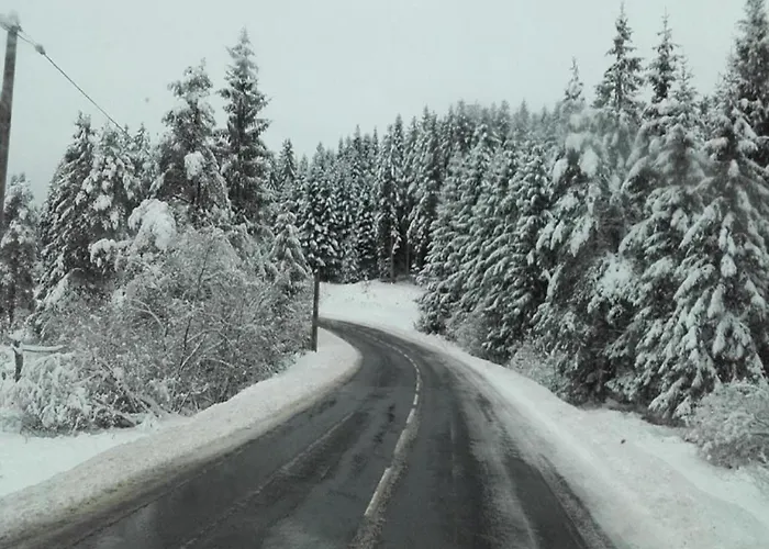 In Near Chateau Rocher Teilhet