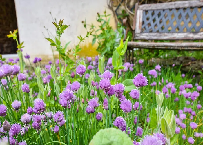 In Near Chateau Rocher 別荘 Teilhet